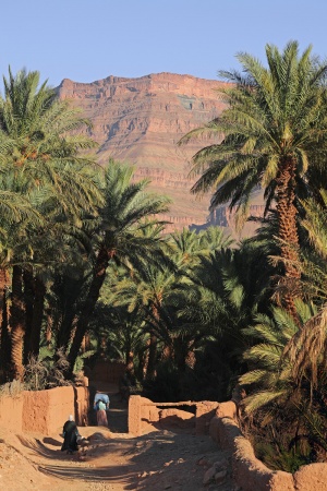 El Arabi
Draa Valley, Morocco