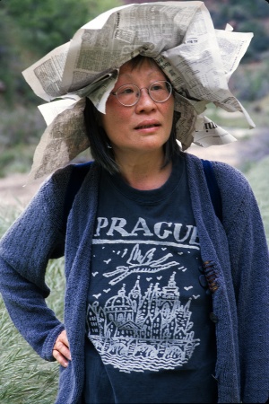 In a Newspater Hat
Zion National Park,
Utah
