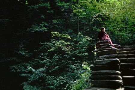 In the WoodsEnfield, New York