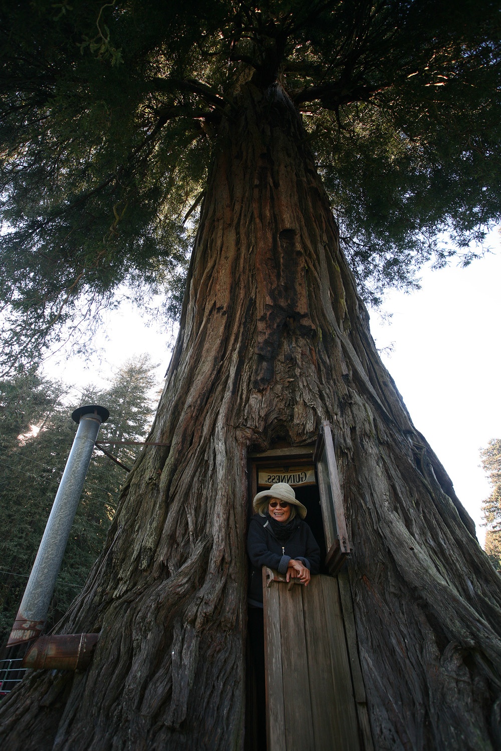 bill-hocker-plantation-california-2009