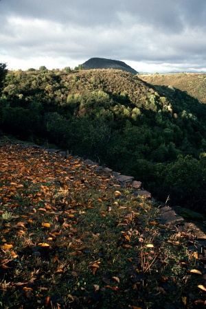 Haystck and Rector Canyon
Twin Brook Farm
Napa County, California