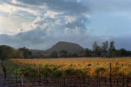 HaystackFrom Neighbor's Farm, California