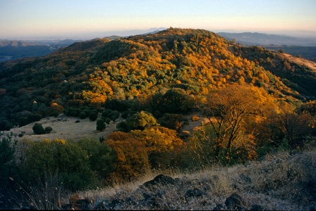 Looking SouthFrom Atlas Peak, California