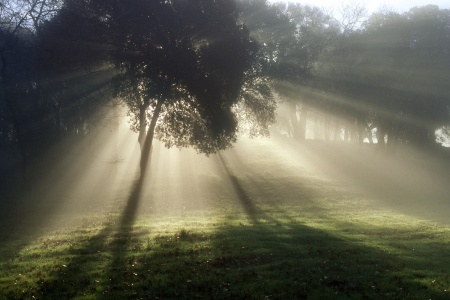 Twin Brook Farm
Napa, California