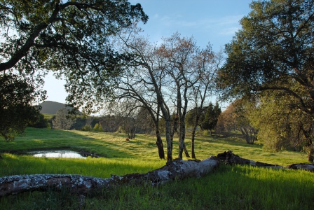 Twin Brook Farm
Napa, California