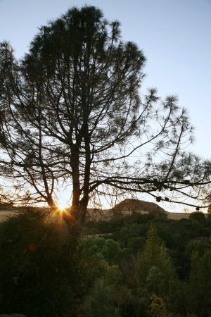 Haystack
Twin Brook Farm
Napa, California
