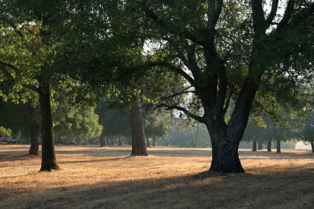 Twin Brook Farm
Napa, California