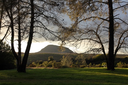 Haystack, Pines
Twin Brook Farm
Napa County, California