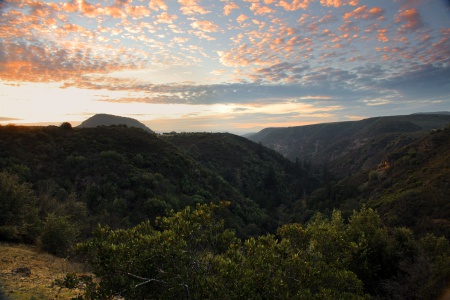 Rector Canyon
Napa, California