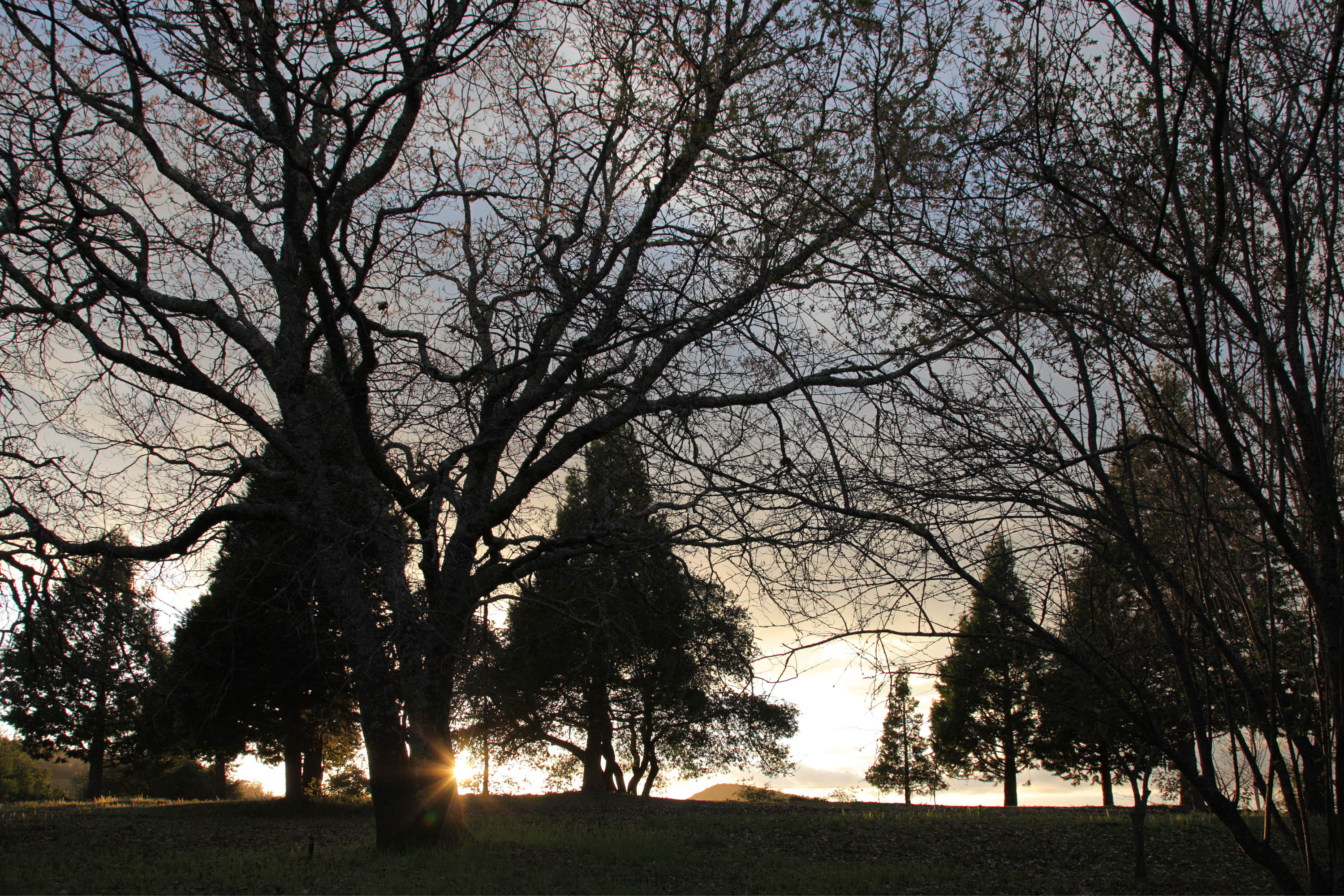 bill-hocker-twin-brook-farm-napa-county-california-2023
