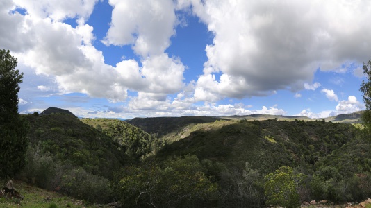 Rector Watershed from Twin Brook Farm
Napa County, California