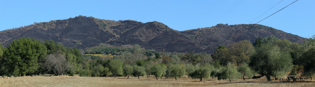 Atlas Peak and Ridge
From Twin Brook Farm
Napa, California