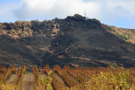 Atlas Peak
Napa California
