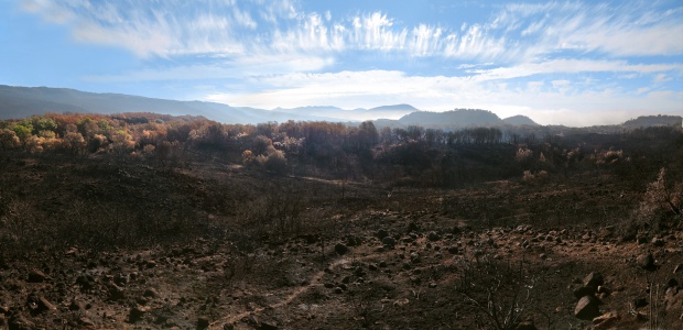 Atlas Peak Road
Napa, California