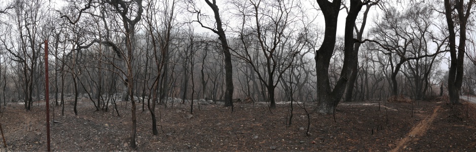 Soda Canyon Road
Napa, California