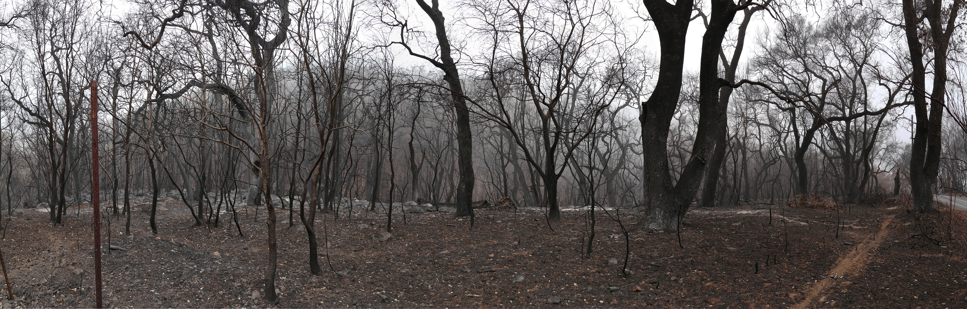 bill-hocker-soda-canyon-road-napa-california-2017