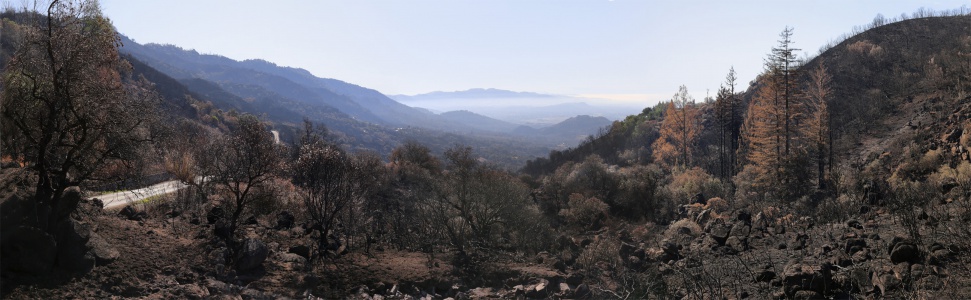 Soda Canyon
Napa, California