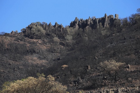 Castle Rock
Soda Canyon
Napa, California