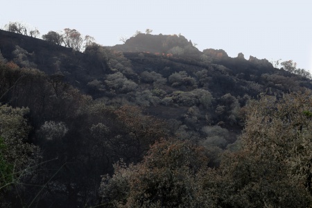 Soda Canyon Road
Napa, California
