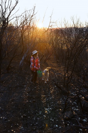 Atlas Peak
Napa, California
