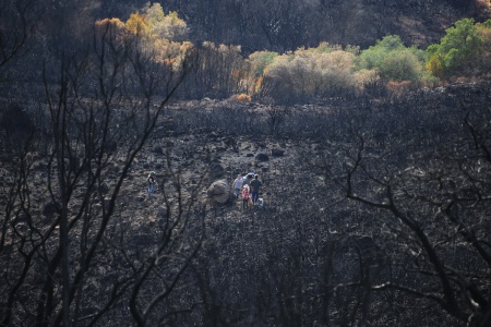Climbing Atlas Peak
Napa, California