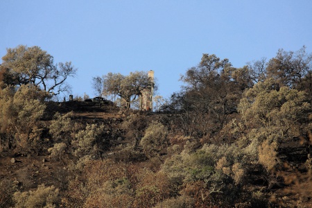 After the fire
Soda Canyon Road
Napa, California