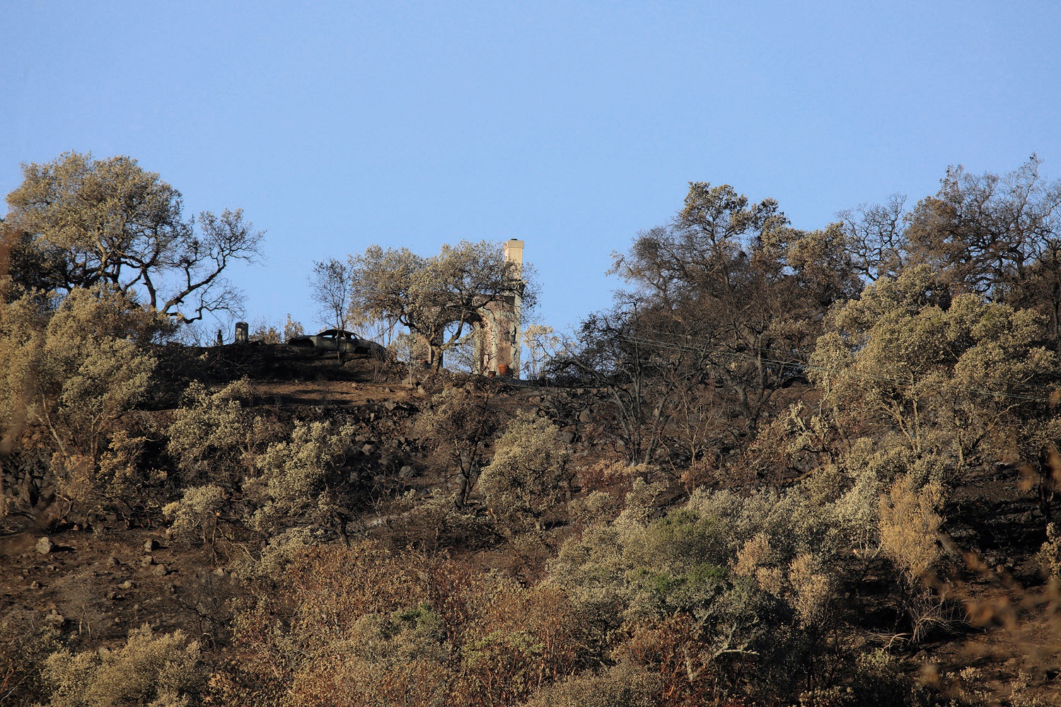 bill-hocker-after-the-fire-soda-canyon-road-napa-california-2017