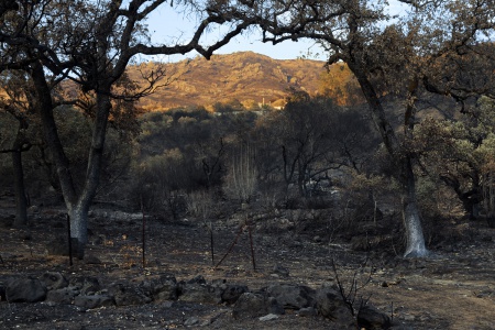 Soda Canyon Roa
Napa, california