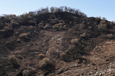 Soda Canyon Road
Napa, California