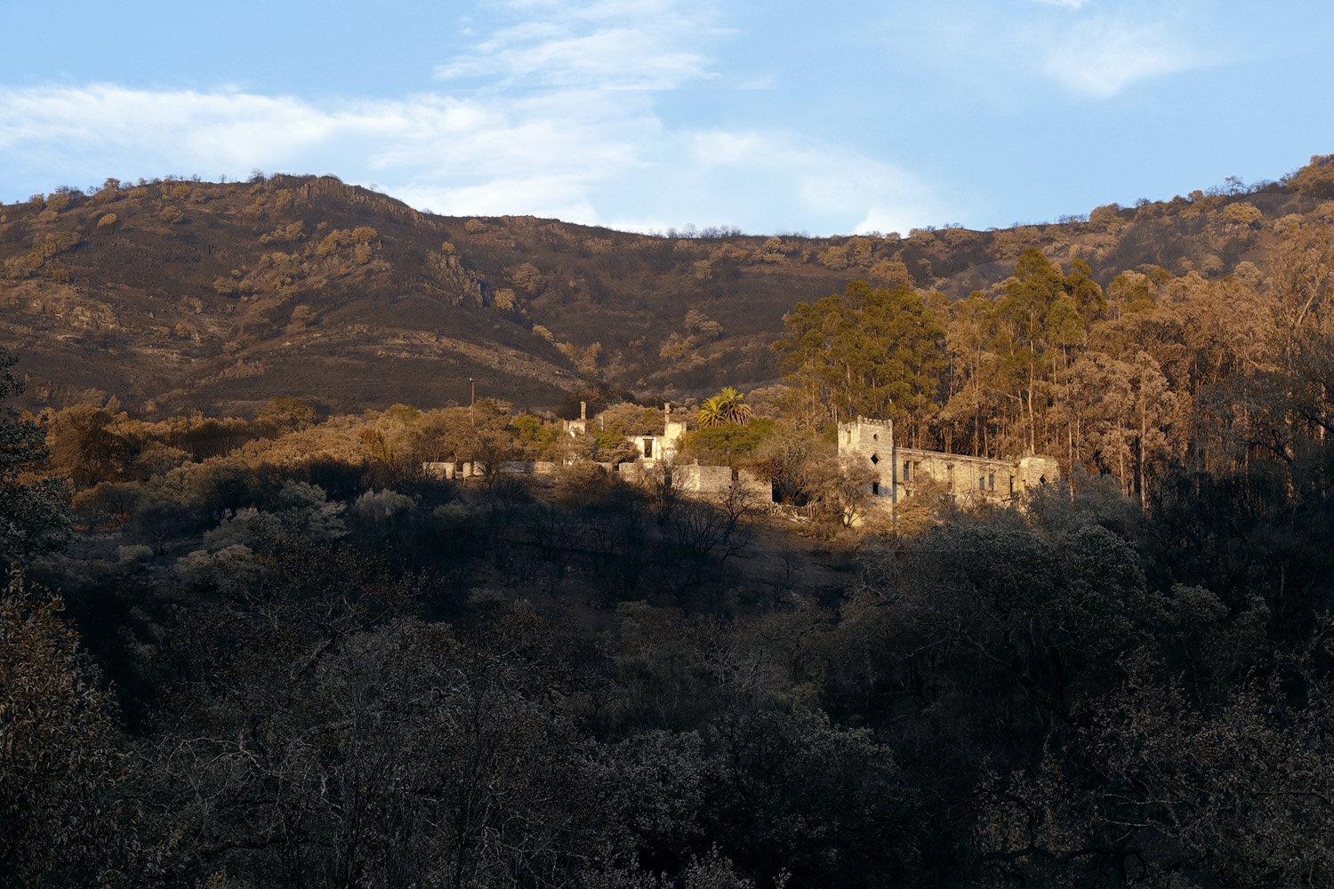 bill-hocker-soda-canyon-road-napa-california-2017