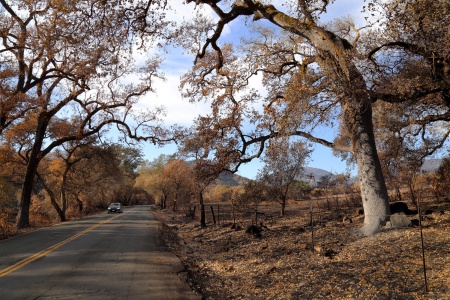 Soda Canyon Road
Napa, california
