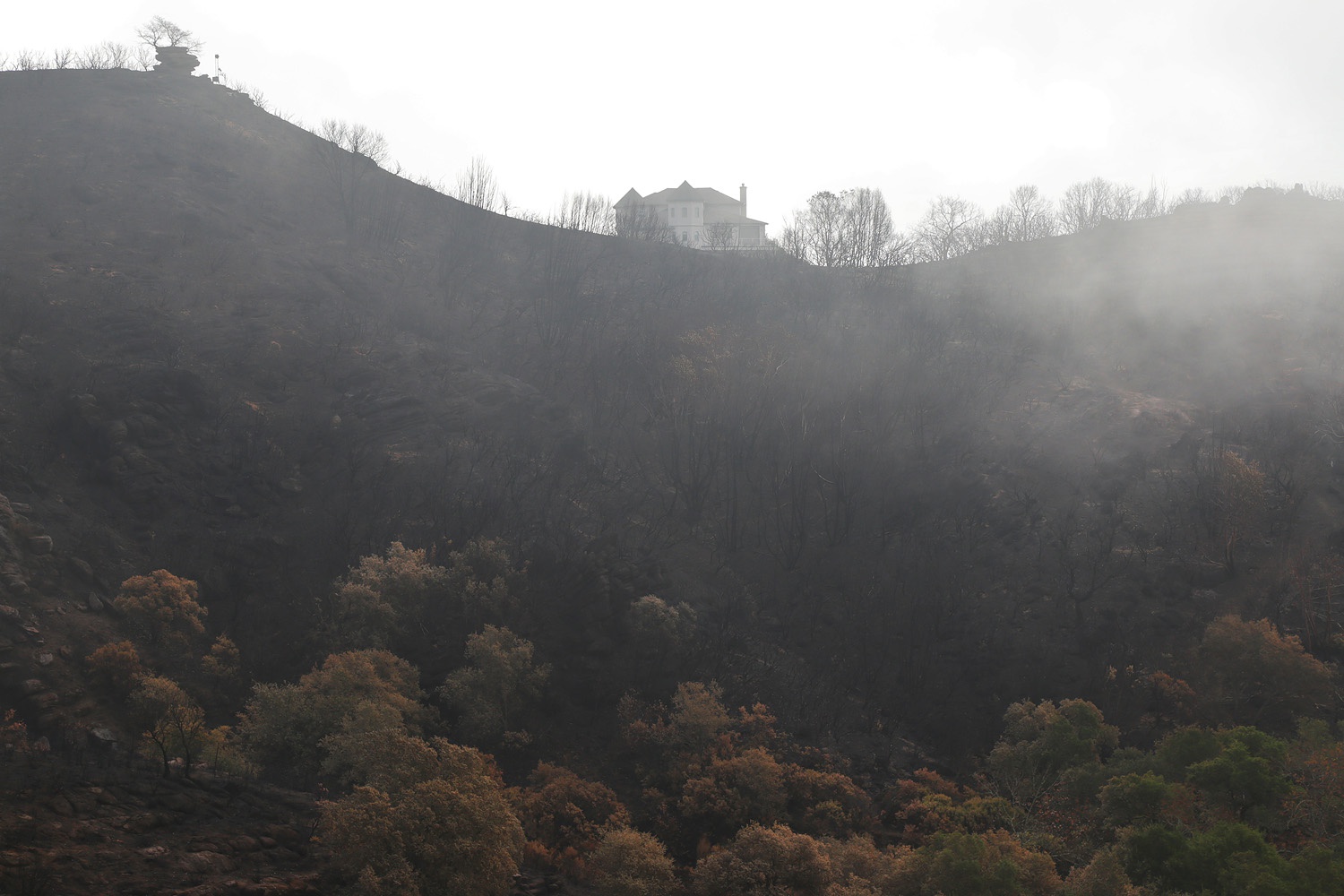 bill-hocker-atlas-peak-road-napa-california-2017