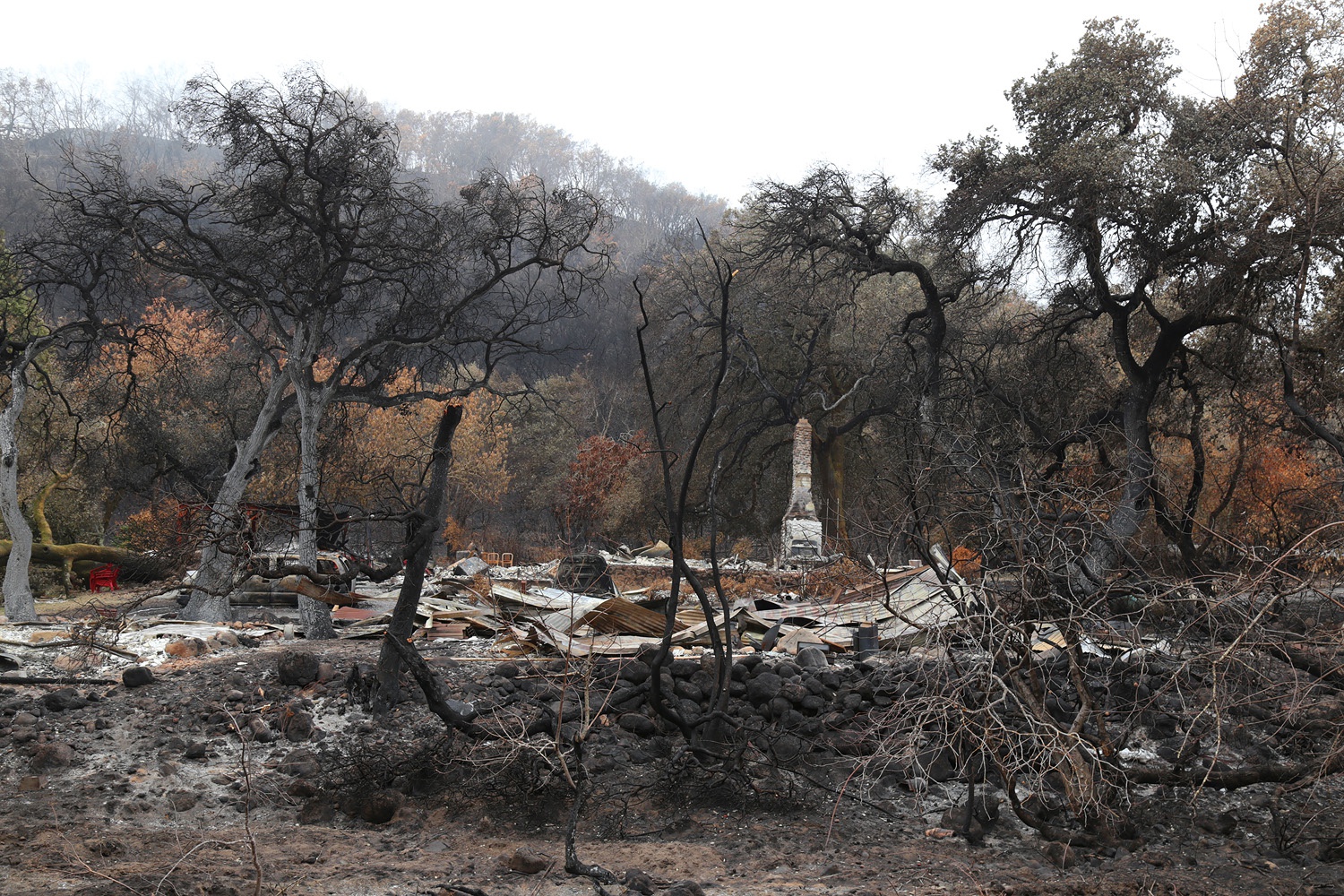 bill-hocker-soda-canyon-road-napa-california-2017