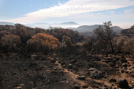 Atlas Peak Road
Napa, california