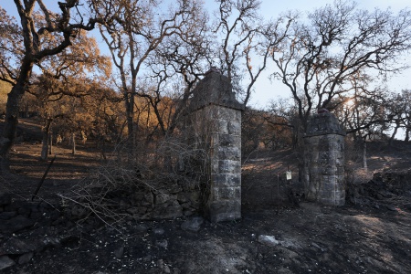 After the fire
Soda Canyon Road
Napa, California