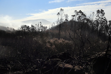 Atlas Peak Road
Napa, californiav