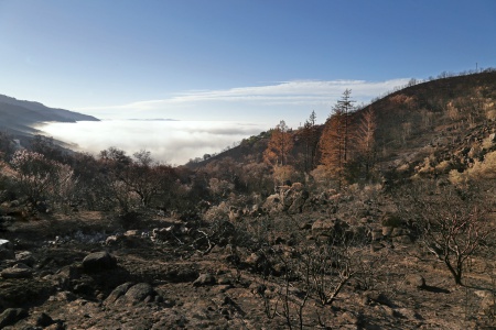 Soda Canyon Road
Napa, California