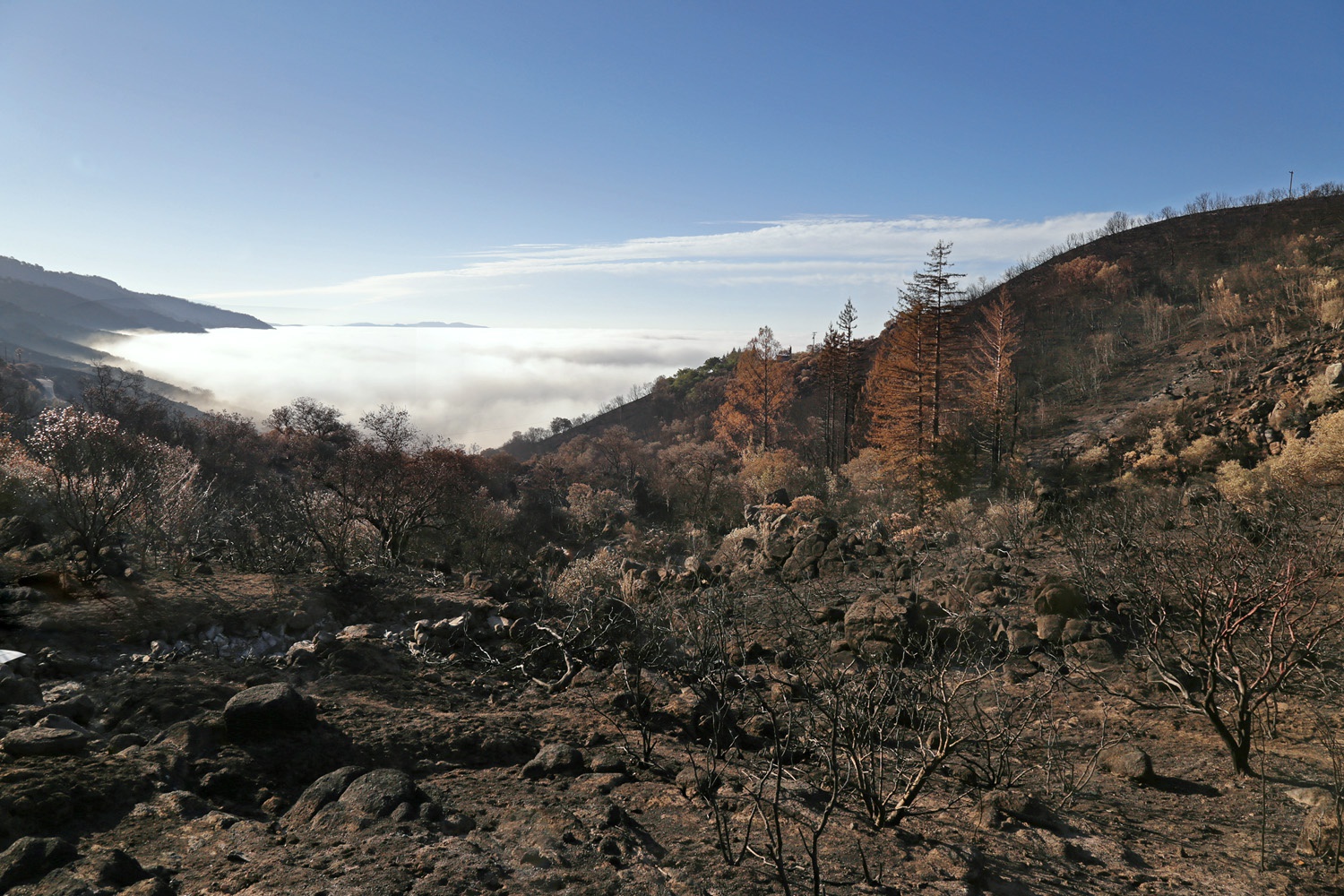 bill-hocker-soda-canyon-road-napa-california-2017