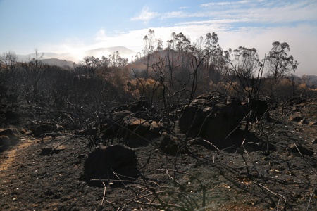 Atlas Peak Road
Napa, California