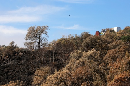 Atlas Peak Road
Napa, California