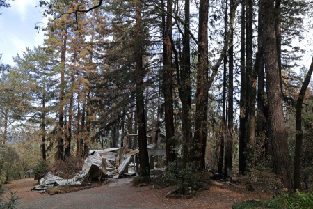 Mt Veeder Road
Napa, California