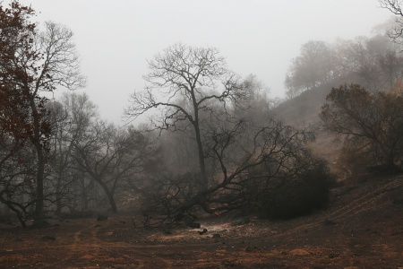 Soda Canyon Road
Napa, California
