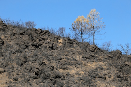 Soda Canyon
Napa, California