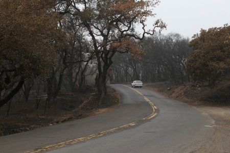 Soda Canyon Road
Napa, California