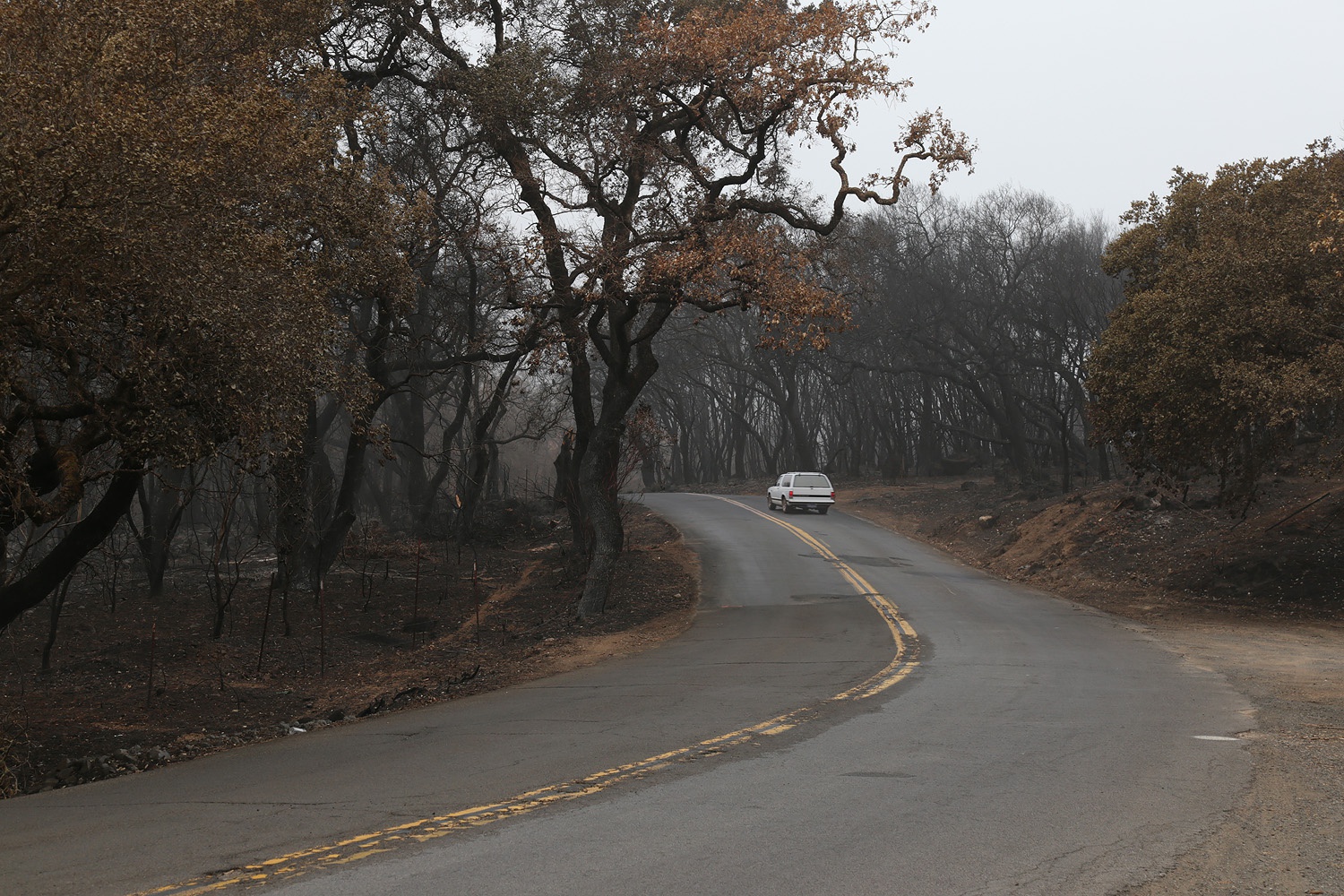 bill-hocker-soda-canyon-road-napa-california-2017