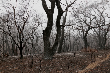 Soda Canyon Road
Napa, California