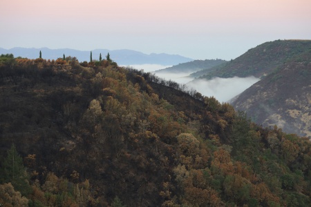 Rector Canyon
Napa, California