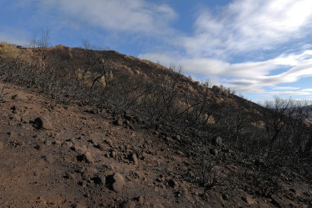 Atlas Peak
Napa, California