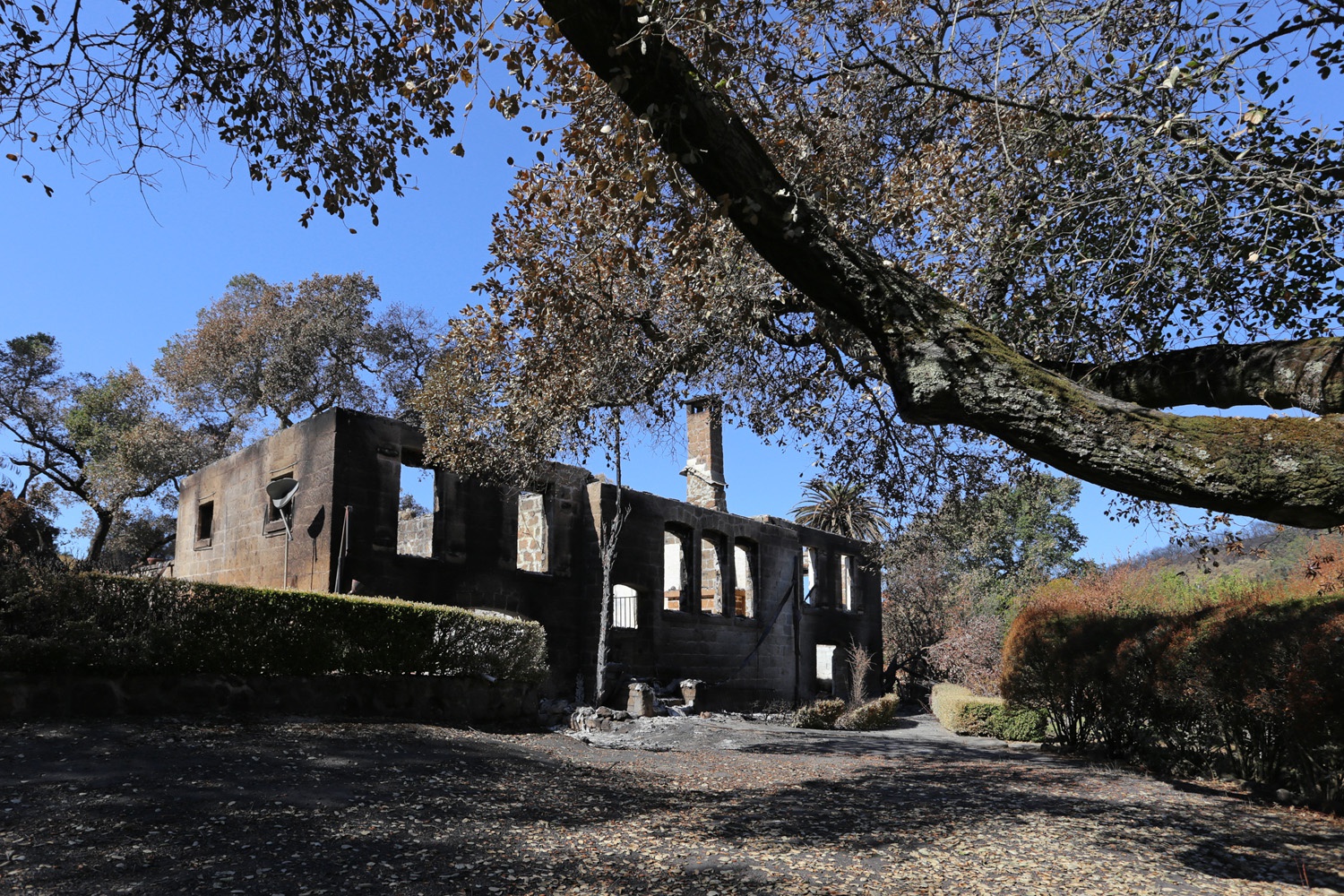 bill-hocker-loma-vista-drive-napa-california-2017