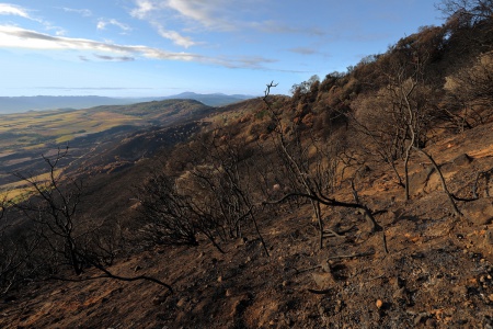 Atlas Peak
Napa, California